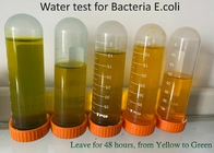 De Testuitrusting van 100 Strokenpla Bacteriën, de Stroken van de HUISDIERENe Coli Test